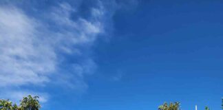 Pequeño agricultor de Salamanca optimiza el riego de sus nogales mediante proyecto bonificado por la CNR