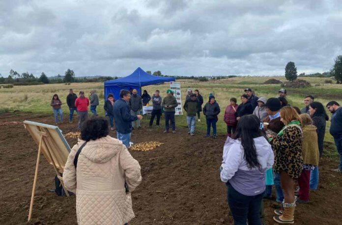 Pequeños productores y asesores técnicos de Chiloé participaron en jornada técnica sobre suelo, agua y rendimiento en papas 