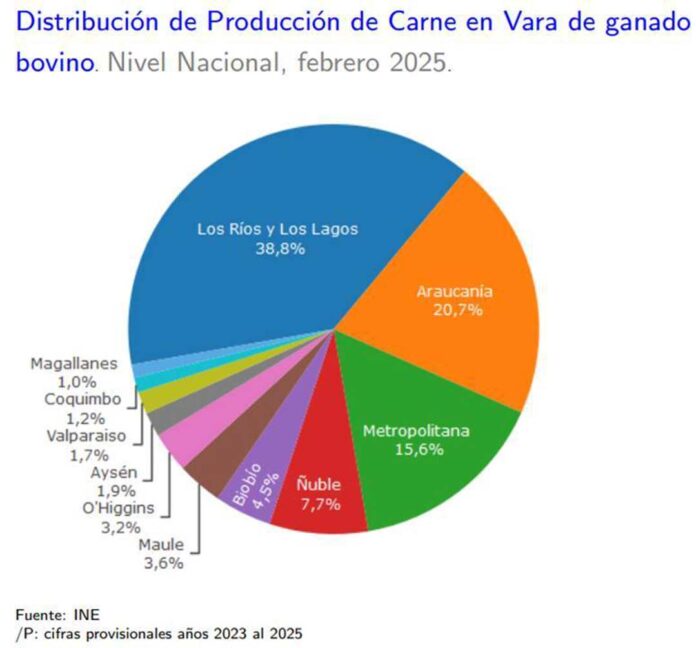 Producción de carne en vara de ganado bovino de la Región del Biobío presentó una disminución interanual de 25,7% en febrero de 2025