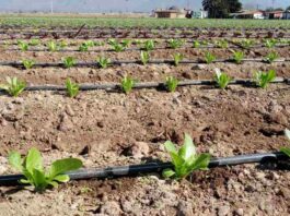 Regantes del Norte Chico podrán presentar sus iniciativas a concurso para las cooperativas y la seguridad alimentaria