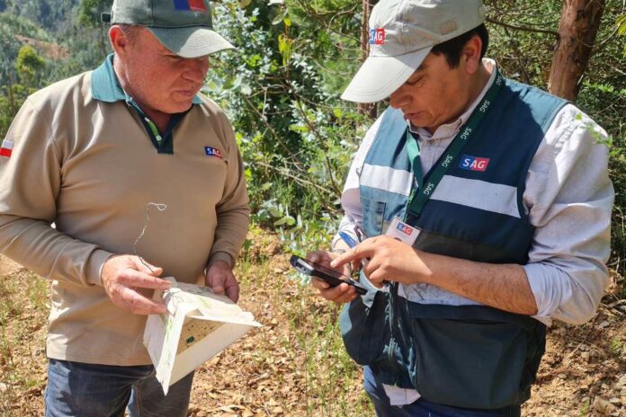 digitalización de vigilancia fitosanitaria forestal