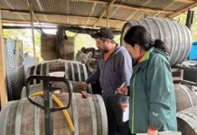 SAG fiscaliza bodegas de vinos y mostos en Biobío