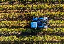 Soluciones de IoT para agricultores monitorear condiciones ambientales y anticipar riesgos potenciales