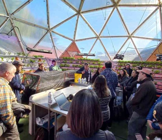 Tecnología e innovación para el campo: INACAP y Corfo impulsan transformación hortícola en Aysén
