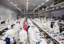 Trabajadoras de la industria pesquera del Biobío exponen en la Comisión de Hacienda del Senado: “Esta ley significa despidos”