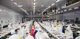 Trabajadoras de la industria pesquera del Biobío exponen en la Comisión de Hacienda del Senado: “Esta ley significa despidos”