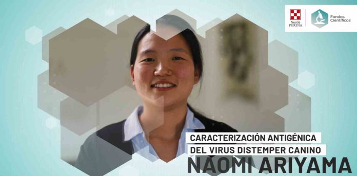 Veterinarios chilenos realizan importante estudio sobre el distemper canino