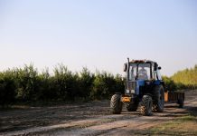 Delincuencia en el mundo agrícola: alternativas para protegerse de estos delitos