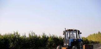 Delincuencia en el mundo agrícola: alternativas para protegerse de estos delitos