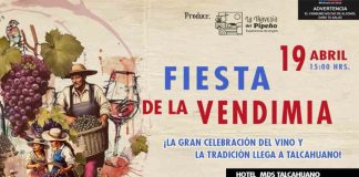 Vitivinicultores de Ñuble y Biobío preparan la Fiesta de la Vendimia
