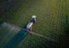 Contraloría investiga al SII por alzas de hasta 800% en el reavalúo de predios agrícolas