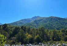 Alto Las Loicas y Valle Los Robles se unen a los terrenos ecológicos protegidos que abarcan hasta un 22% en Chile