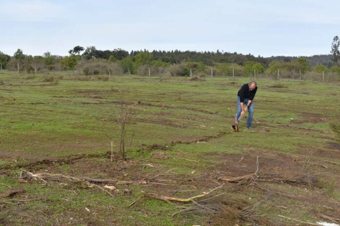 Agricultores de Olmué, Casablanca y La Ligua se capacitan en cosecha de agua y cultivo de tunas