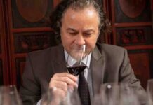 Alexandre Schmitt regresa a Chile: consultoría para potenciar el ensamblaje de los vinos chilenos