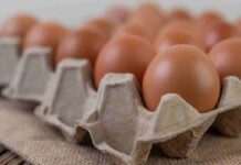 Alza en el precio de los huevos: estas son las opciones ricas en aminoácidos que se pueden usar en su reemplazo