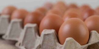 Alza en el precio de los huevos: estas son las opciones ricas en aminoácidos que se pueden usar en su reemplazo