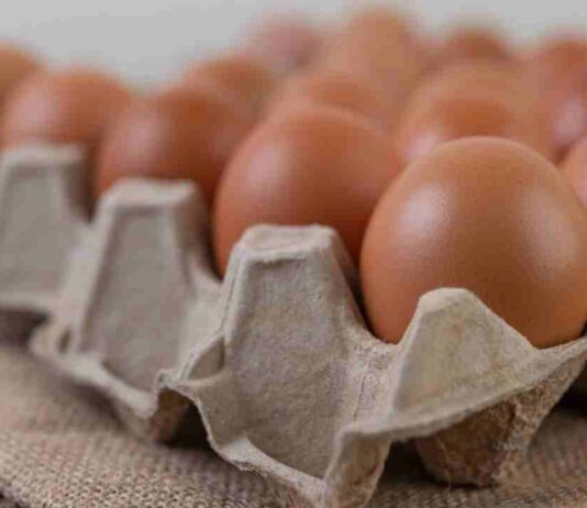 Alza en el precio de los huevos: estas son las opciones ricas en aminoácidos que se pueden usar en su reemplazo