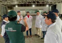 Autoridades de Coquimbo visitaron  Sitio de Inspección de Fruta en Cabrero para replicar modelo de construcción