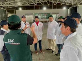 Autoridades de Coquimbo visitaron  Sitio de Inspección de Fruta en Cabrero para replicar modelo de construcción