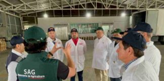 Autoridades de Coquimbo visitaron  Sitio de Inspección de Fruta en Cabrero para replicar modelo de construcción