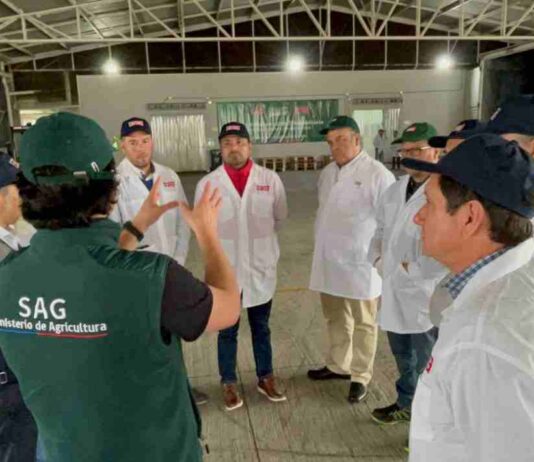 Autoridades de Coquimbo visitaron  Sitio de Inspección de Fruta en Cabrero para replicar modelo de construcción
