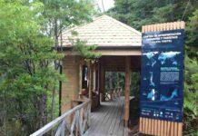Aysén impulsa red de Centros de Interpretación Ambiental para un turismo con base científica