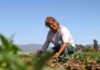 CNR dispone recursos para apoyar el desarrollo del riego de las y los pequeños agricultores de Atacama y Coquimbo