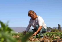 CNR dispone recursos para apoyar el desarrollo del riego de las y los pequeños agricultores de Atacama y Coquimbo