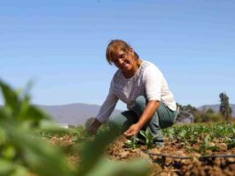 CNR dispone recursos para apoyar el desarrollo del riego de las y los pequeños agricultores de Atacama y Coquimbo