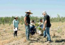 Capacitaciones y visitas técnicas marcan nueva etapa del Proyecto Fruticultura Sostenible y Resiliente en Ñuble