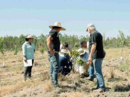 Capacitaciones y visitas técnicas marcan nueva etapa del Proyecto Fruticultura Sostenible y Resiliente en Ñuble