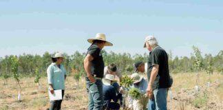 Capacitaciones y visitas técnicas marcan nueva etapa del Proyecto Fruticultura Sostenible y Resiliente en Ñuble
