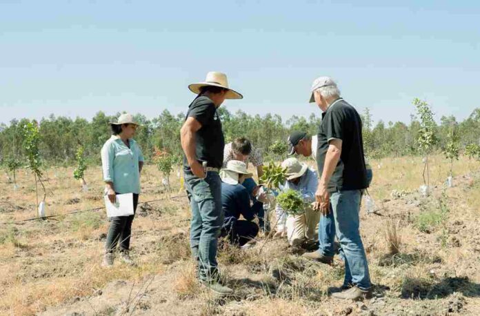 Capacitaciones y visitas técnicas marcan nueva etapa del Proyecto Fruticultura Sostenible y Resiliente en Ñuble
