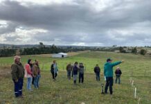 Científicos de INIA continúan trabajando para combatir la plaga del gusano blanco en Chiloé