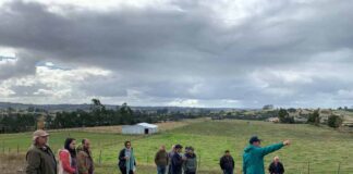 Científicos de INIA continúan trabajando para combatir la plaga del gusano blanco en Chiloé