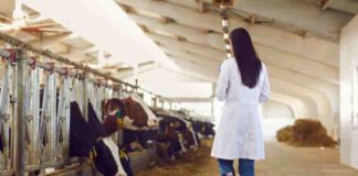 Día Mundial del Veterinario: ¿los cuidamos tanto como cuidan ellos a nuestros animales?