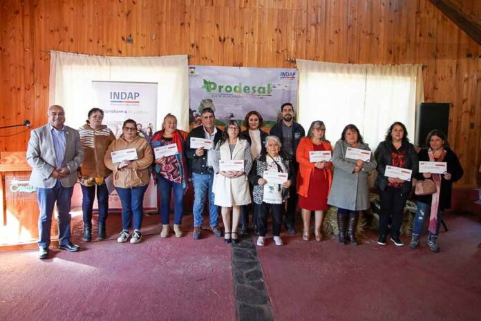 Director Nacional de INDAP se despliega en la Provincia de Arauco con entrega de incentivos, visita a jóvenes rurales y a agrupación de mujeres mapuches