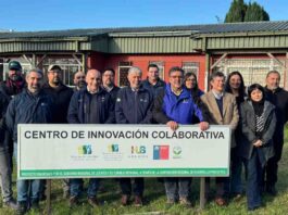 Director Nacional de INIA busca fortalecer vinculación con la UACh, el gobierno regional de Los Ríos y actores claves del agro en el sur