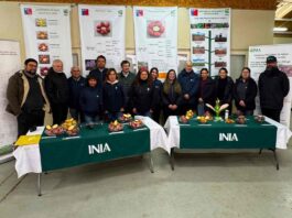 Director nacional de INIA Carlos Furche: "INIA Remehue está a la vanguardia en sustentabilidad agrícola y pecuaria” 