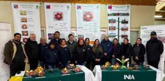 Director nacional de INIA Carlos Furche: "INIA Remehue está a la vanguardia en sustentabilidad agrícola y pecuaria” 