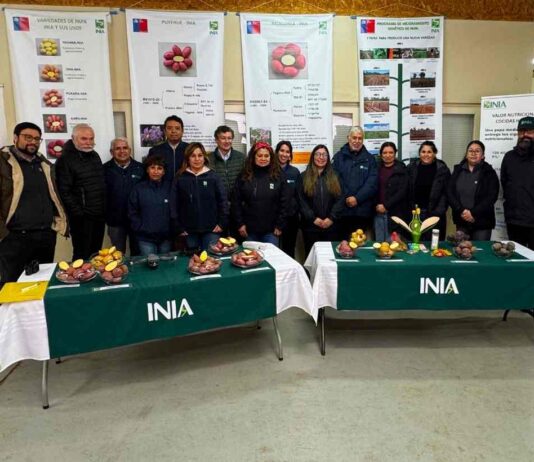 Director nacional de INIA Carlos Furche: "INIA Remehue está a la vanguardia en sustentabilidad agrícola y pecuaria” 