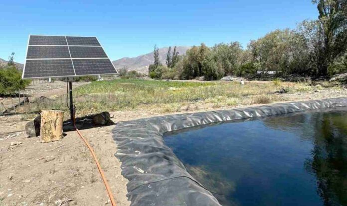 Energía fotovoltaica: 81 productores transforman su forma de regar