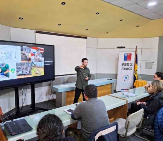 Expertos de Veterinarias UdeC detectan brote por Klebsiella pneumoniae ST307 multirresistente a antimicrobianos en pacientes caninos y felinos de Ñuble