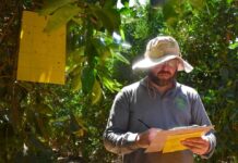 Expertos nacionales presentan alternativas sostenibles para el manejo integrado de insectos