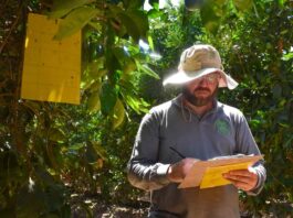 Expertos nacionales presentan alternativas sostenibles para el manejo integrado de insectos