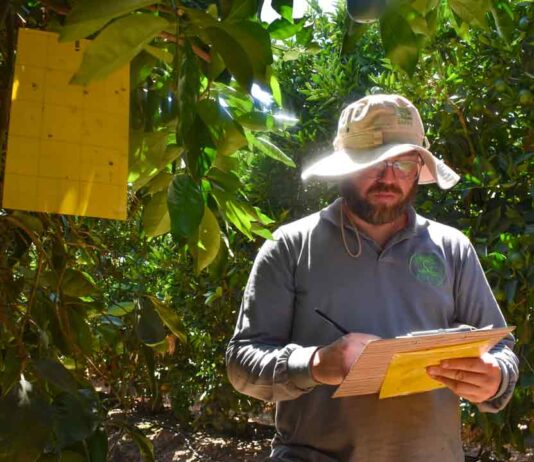 Expertos nacionales presentan alternativas sostenibles para el manejo integrado de insectos