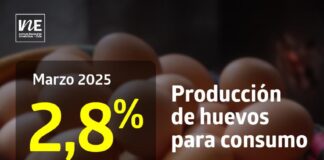 La producción de huevos de consumo presentó un aumento interanual de 2,8% en marzo de 2025