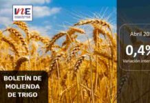 INE Biobío publica cifras de molienda de trigo correspondiente a abril de 2025