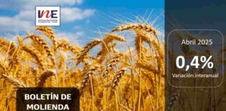 INE Biobío publica cifras de molienda de trigo correspondiente a abril de 2025