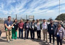 INIA Ururi participó en histórico encuentro regional para fortalecer la ganadería camélida en Sudamérica